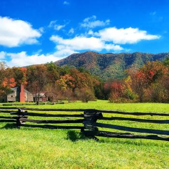 Gorgeous Farm in Jersey